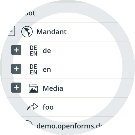 Screenshot openforms Redaktionssystem